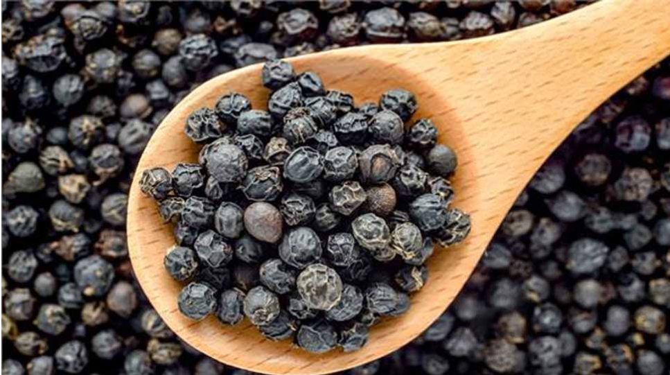 black pepper,benefits of black pepper,health benefits of black pepper,black pepper benefits,black pepper health benefits,benefits of pepper,benefits of eating black pepper,black pepper benefits for weight loss,turmeric and black pepper benefits,pepper,benefits of turmeric and black pepper,black pepper for weight loss,side effects of black pepper,black pepper uses,black pepper health,beauty benefits of black pepper,black pepper benefits for health