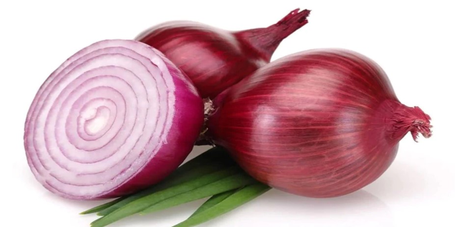 benefits of onion, onion, onion recipes,